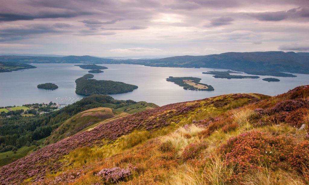 Discover Loch Lomond, a stunning loch in the Scottish Highlands. Enjoy scenic boat tours, hiking, and wildlife spotting in Loch Lomond & The Trossachs National Park.