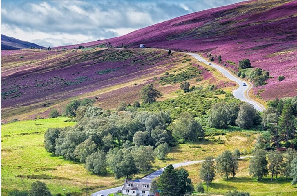 Discover the stunning Cairngorms National Park. Enjoy hiking, wildlife watching, skiing, and explore Scotland's highest peaks and picturesque villages.